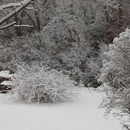 דירה Blum אנטוויילר