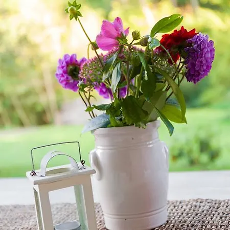 Blum Διαμέρισμα *