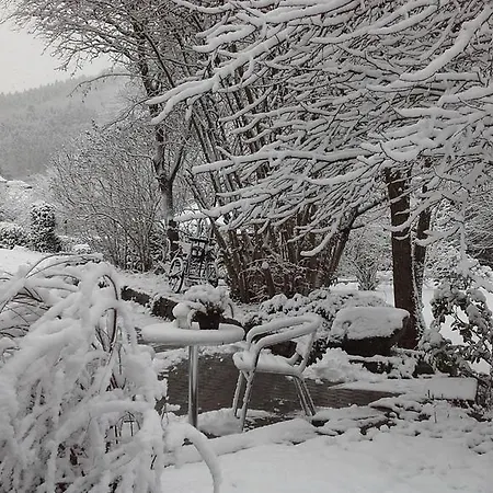 Διαμέρισμα Blum *