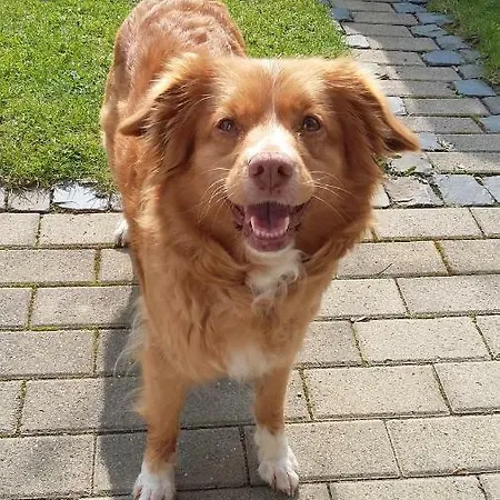 Διαμέρισμα Blum *