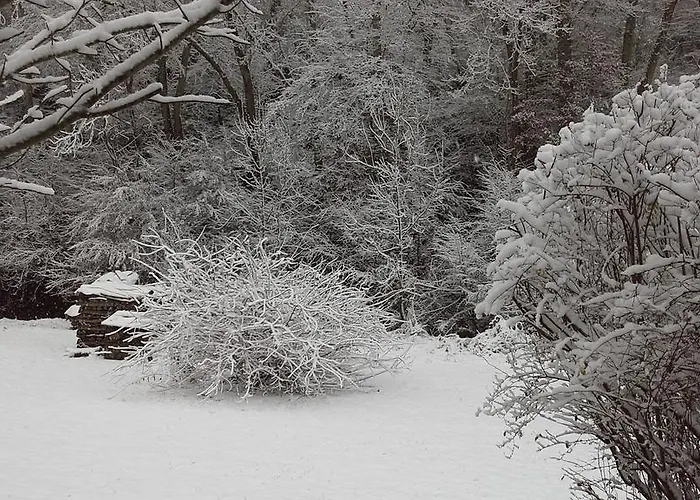 Appartement Blum Antweiler